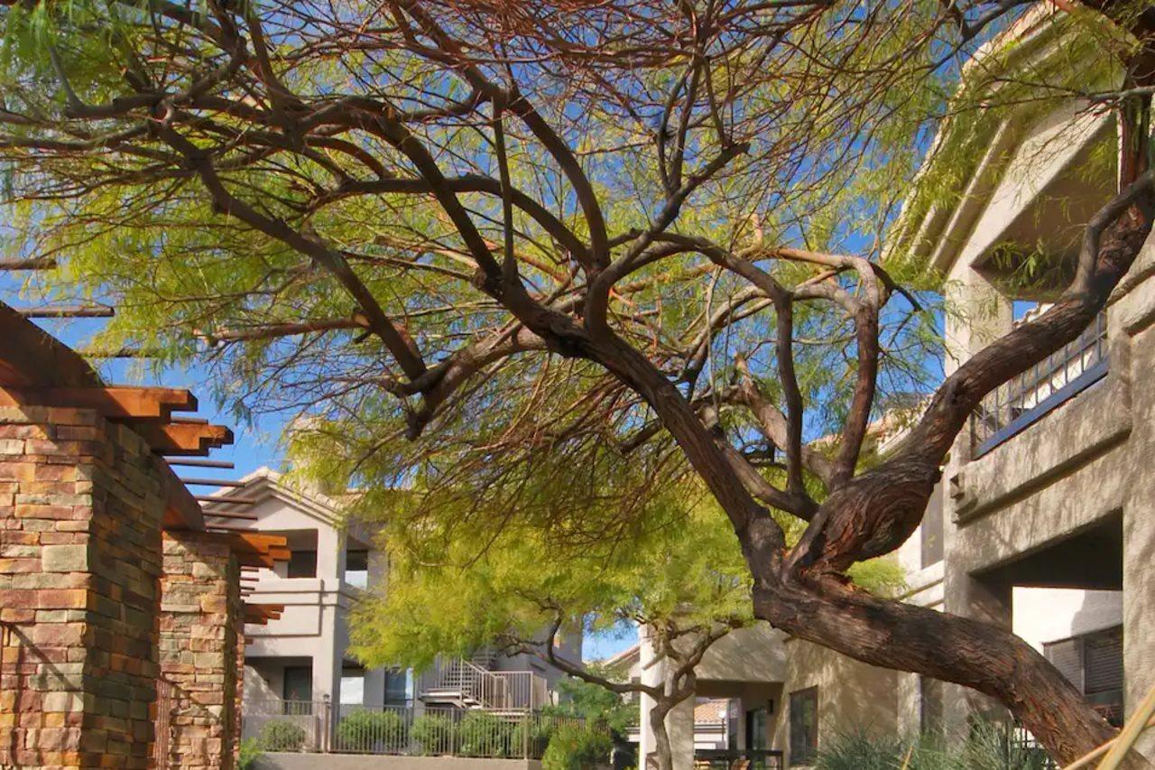 Worldmark Phoenix - South Mountain Preserve Exterior foto